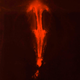 Image for article titled This is not a Hubble photo of a supernova—it's food